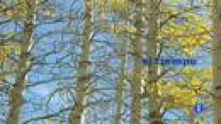 Telecanarias - El tiempo en Canarias - 16/12/11