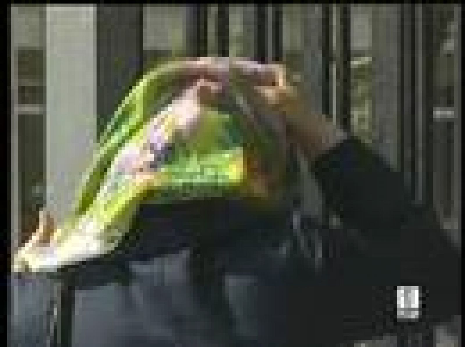 El Constitucional turco veta de nuevo el velo | Ver