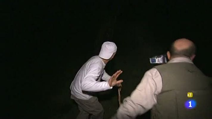 La hora de José Mota - Tomas falsas VIII