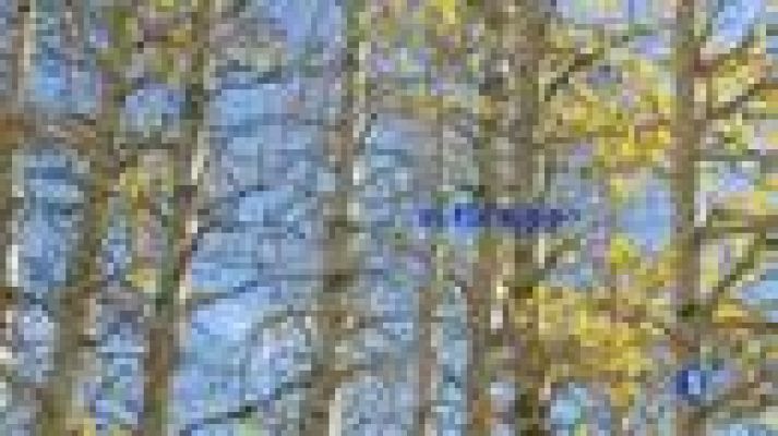 El tiempo - Lluvia en el Cantábrico y Pirineos