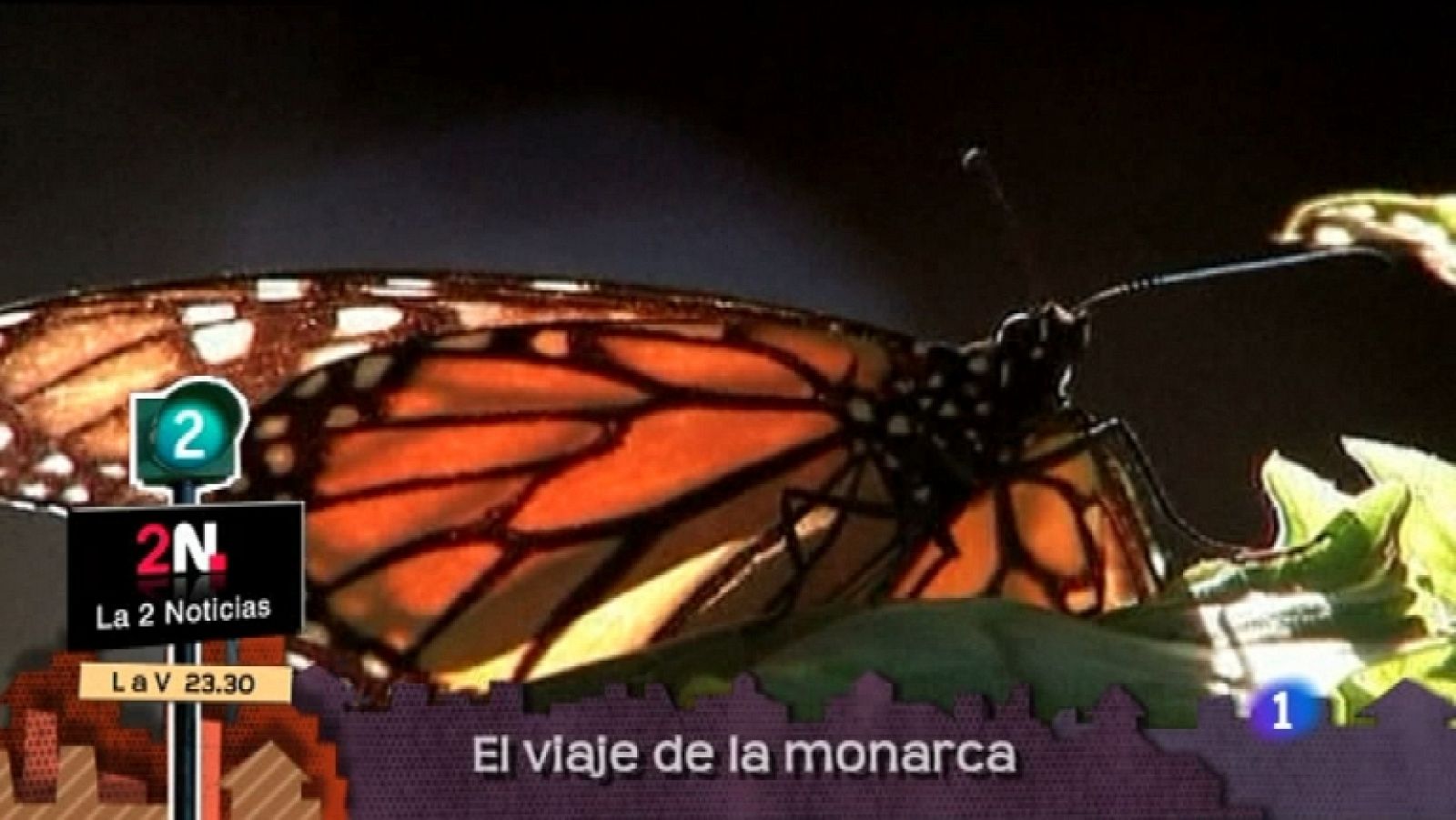 Lo que hay que ver  - 18/12/11 - Ver ahora