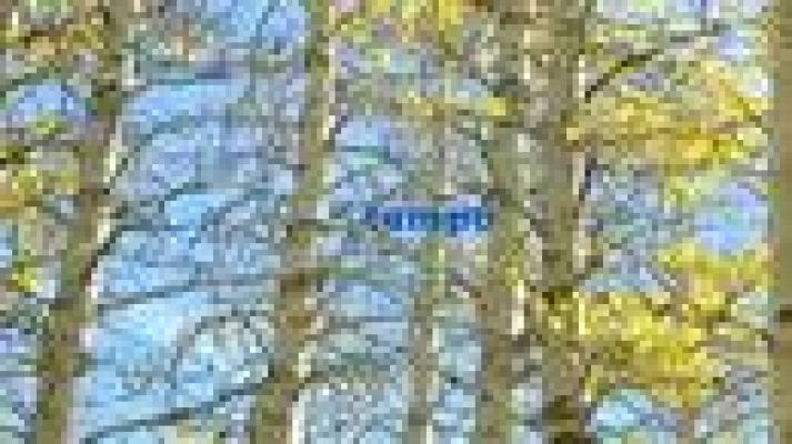 Telexornal - Galicia - El tiempo en Galicia - 19/12/11