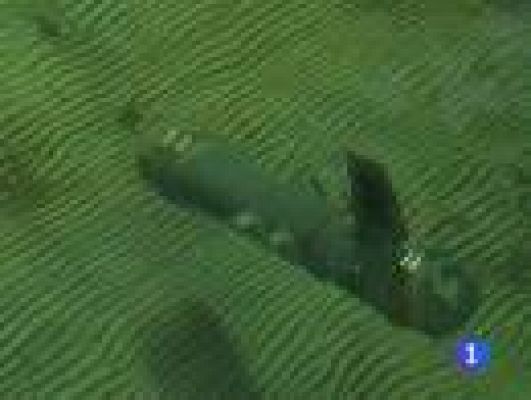 Telediario 1 - Prototipos de submarinos