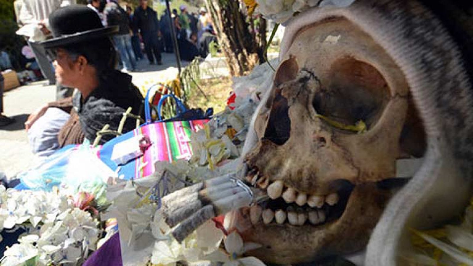 On Off: la fiesta ñatitas - On Off | Ver