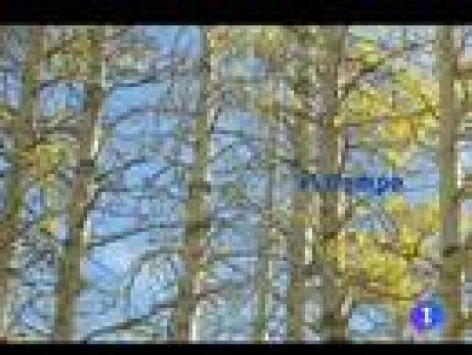 Noticias Andalucía - El tiempo en Andalucía - 20/12/11