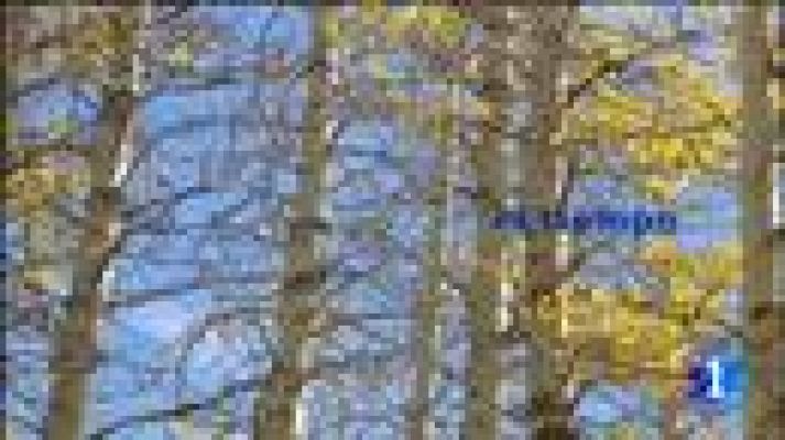 Telecanarias - El tiempo en Canarias - 20/12/11