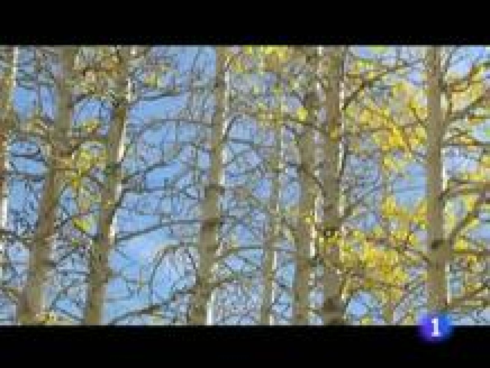 El tiempo en La Rioja - 21/12/11 | Ver