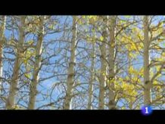 Informativo Telerioja - El tiempo en La Rioja - 21/12/11