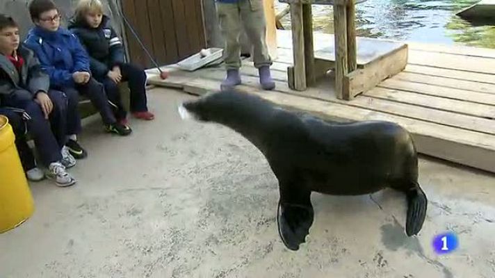 +Gente - Los niños aprenden con Ivo