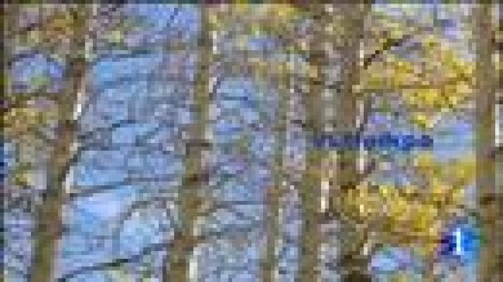 Telecanarias - El tiempo en Canarias - 21/12/11