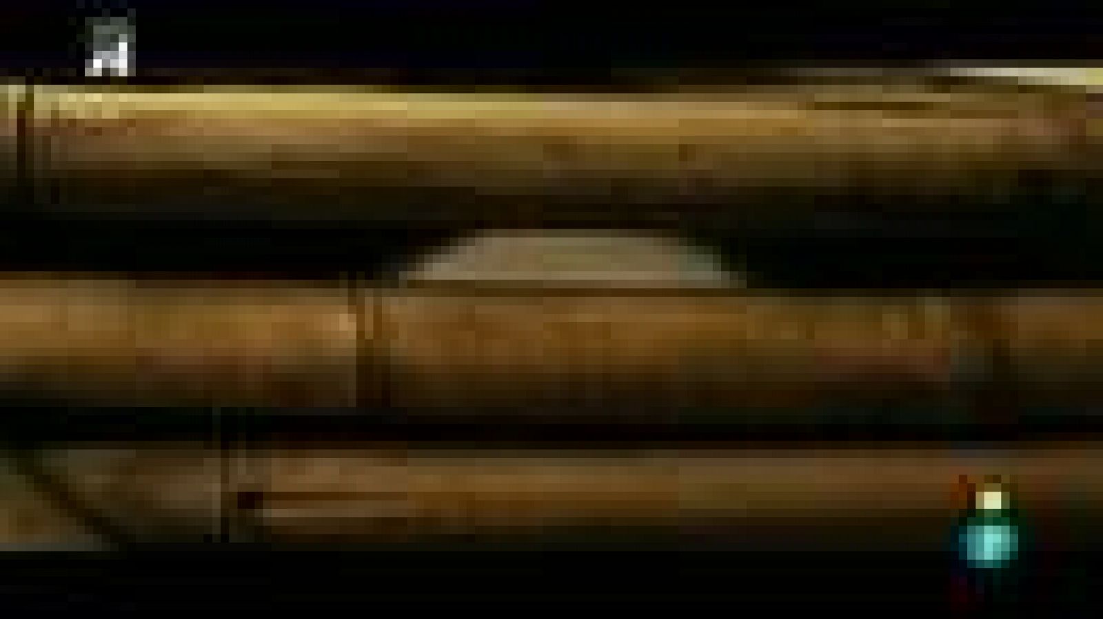 Días de cine: 'Copito de nieve'