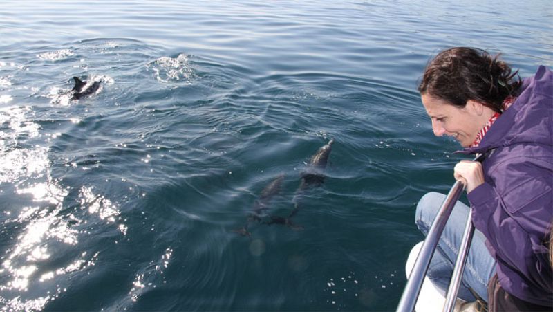 En movimiento con - Malena Alterio - Ver ahora 