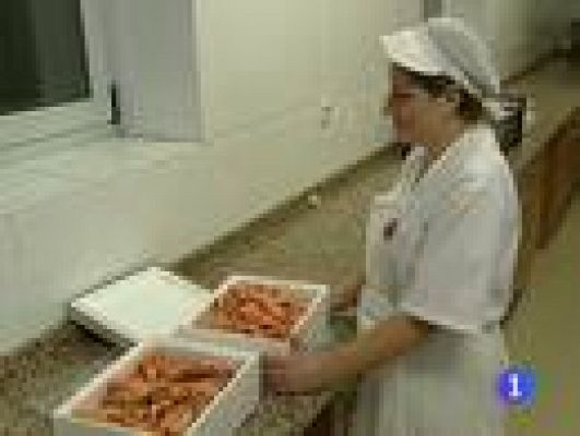 Telediario 1 - Solidaridad en navidad