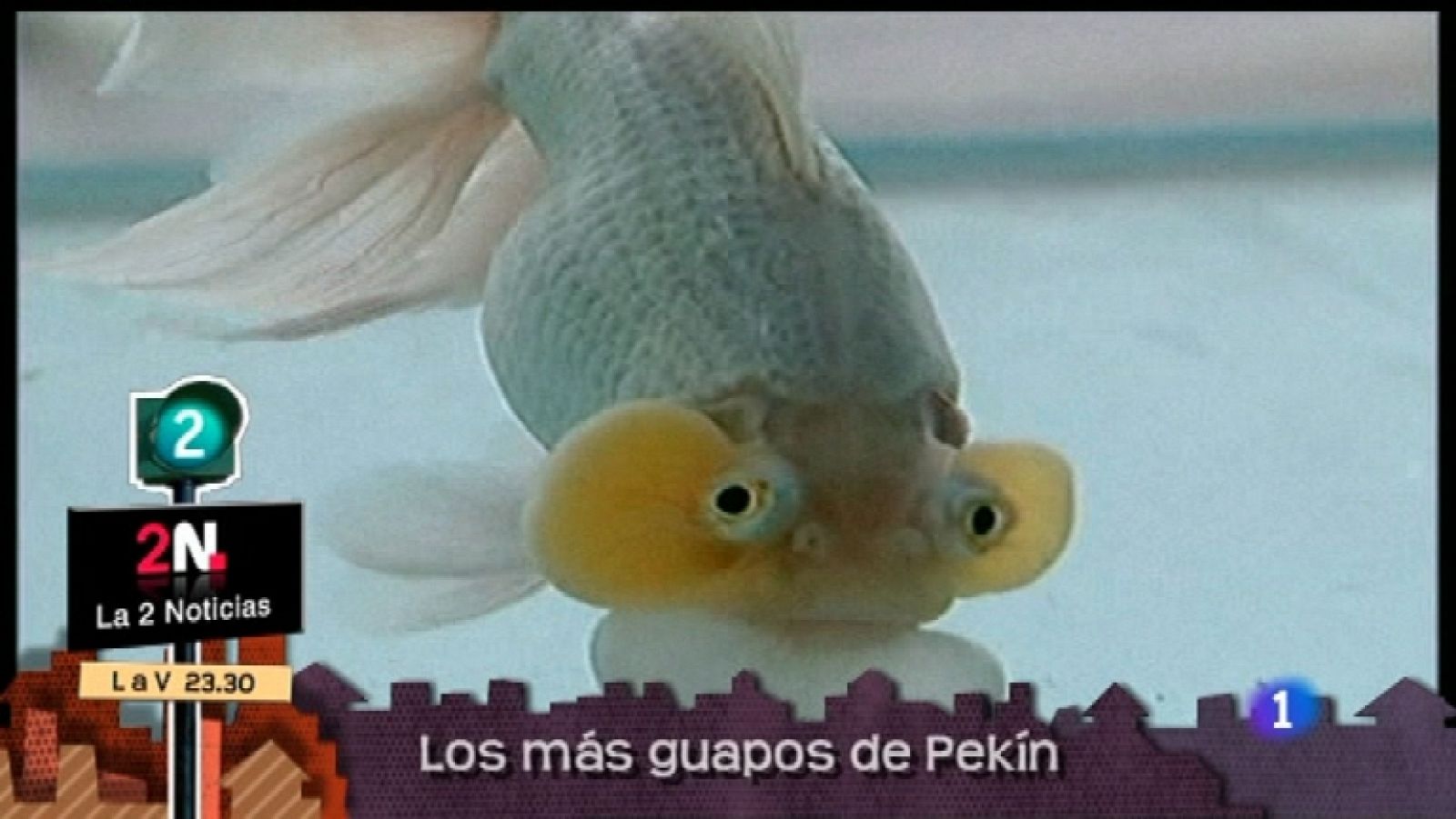 Lo que hay que ver - 24/12/11 - Ver ahora