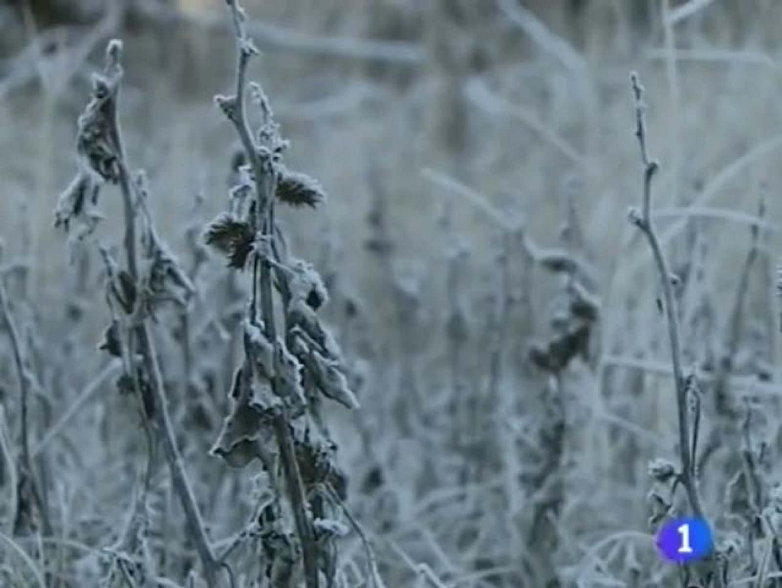 Noticias Aragón - 27/12/11 | Ver