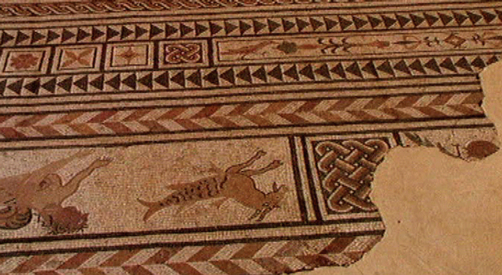 La aventura del saber. Serie Más por menos: Movimientos en el plano