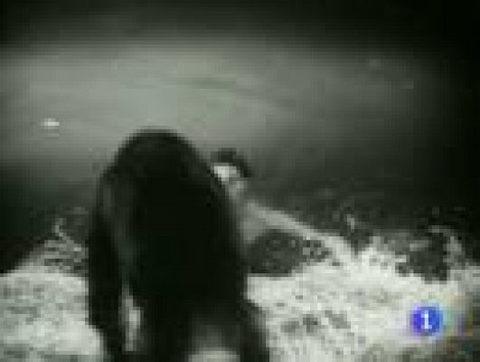 Telediario 1 - Muere la mona Chita