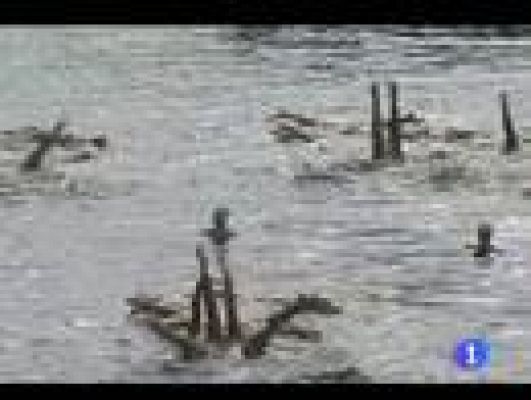 Telediario 1 - Nochevieja sincronizada