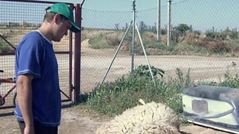 Agricultores y ganaderos de Zamora anuncian movilizaciones en los próximos días