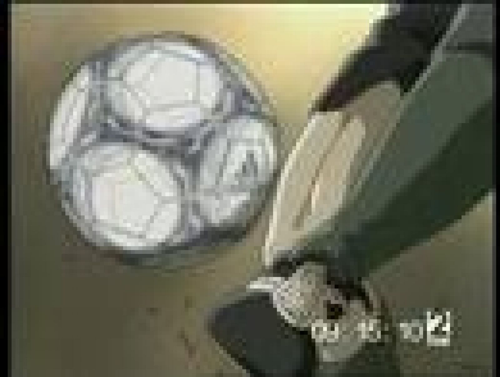 Campeones hacia el Mundial: Oliver y Benji