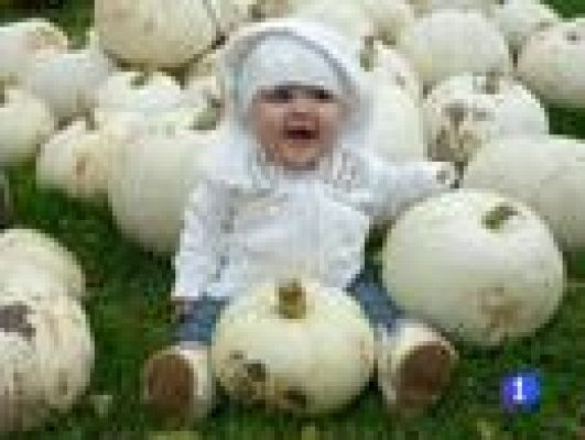 Telediario 1 - Usuarios de RTVE.es