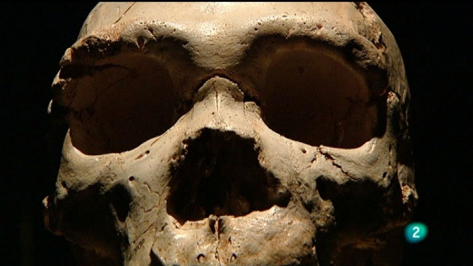 Extras DVD - Museo de la evolución humana: memoria del futuro - VER AHORA