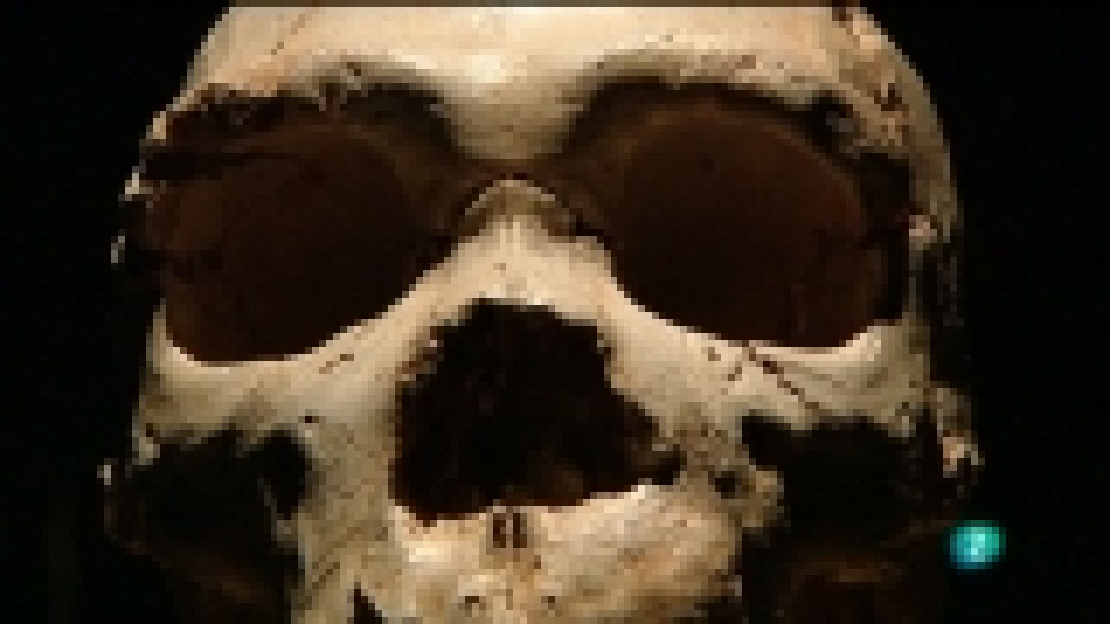 Extras DVD - Museo de la evolución humana: memoria del futuro - VER AHORA 