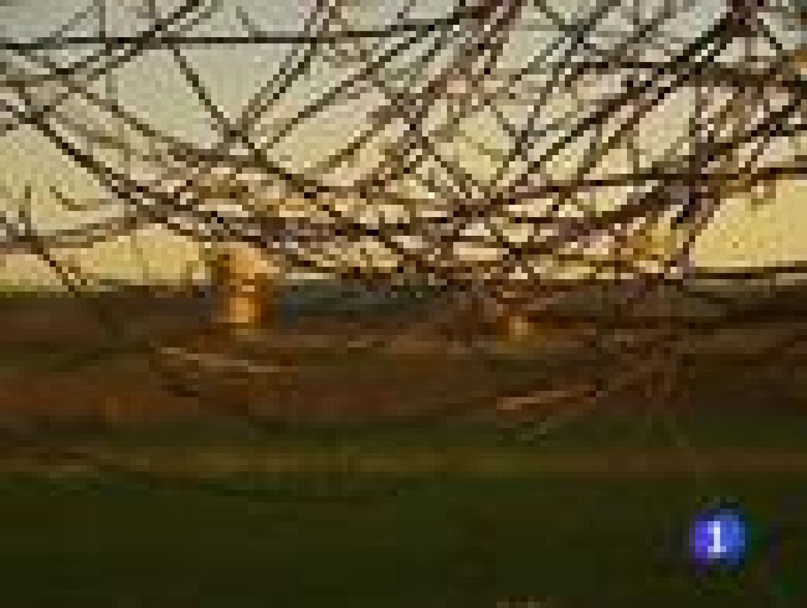 El PSOE recurrirá la instalación del almacén nuclear en Villar de Cañas