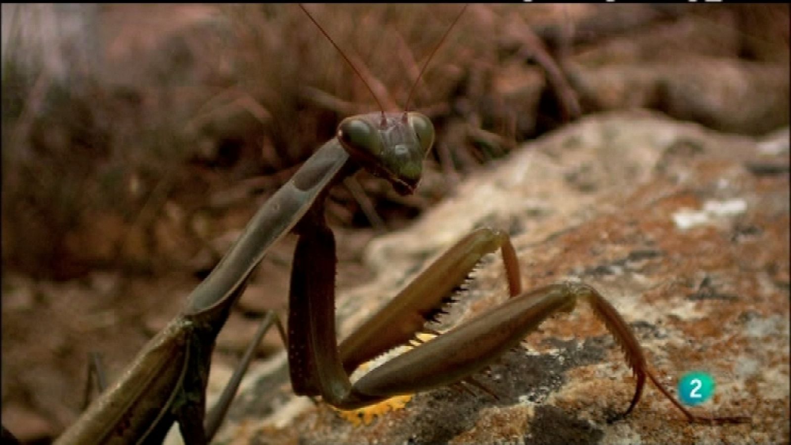 Biodiario - 02/01/12  - Ver ahora