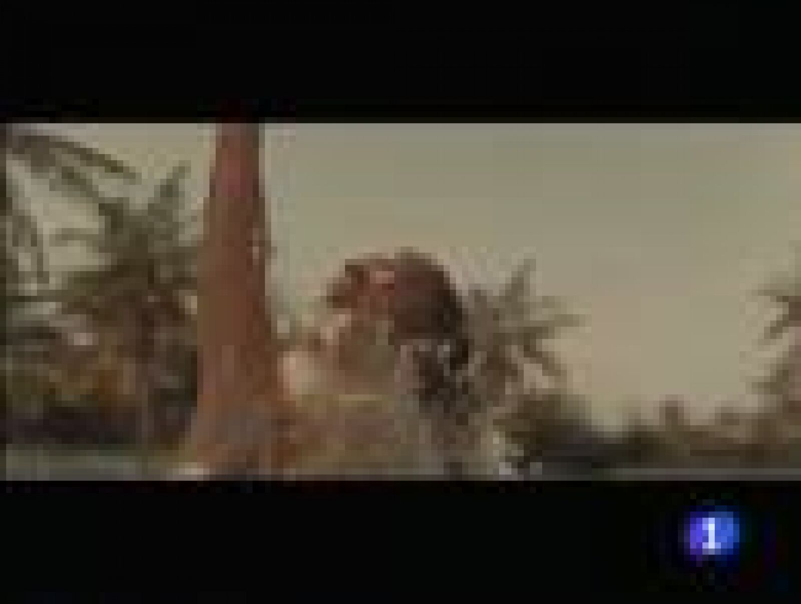 El cine español viene cargado de historias