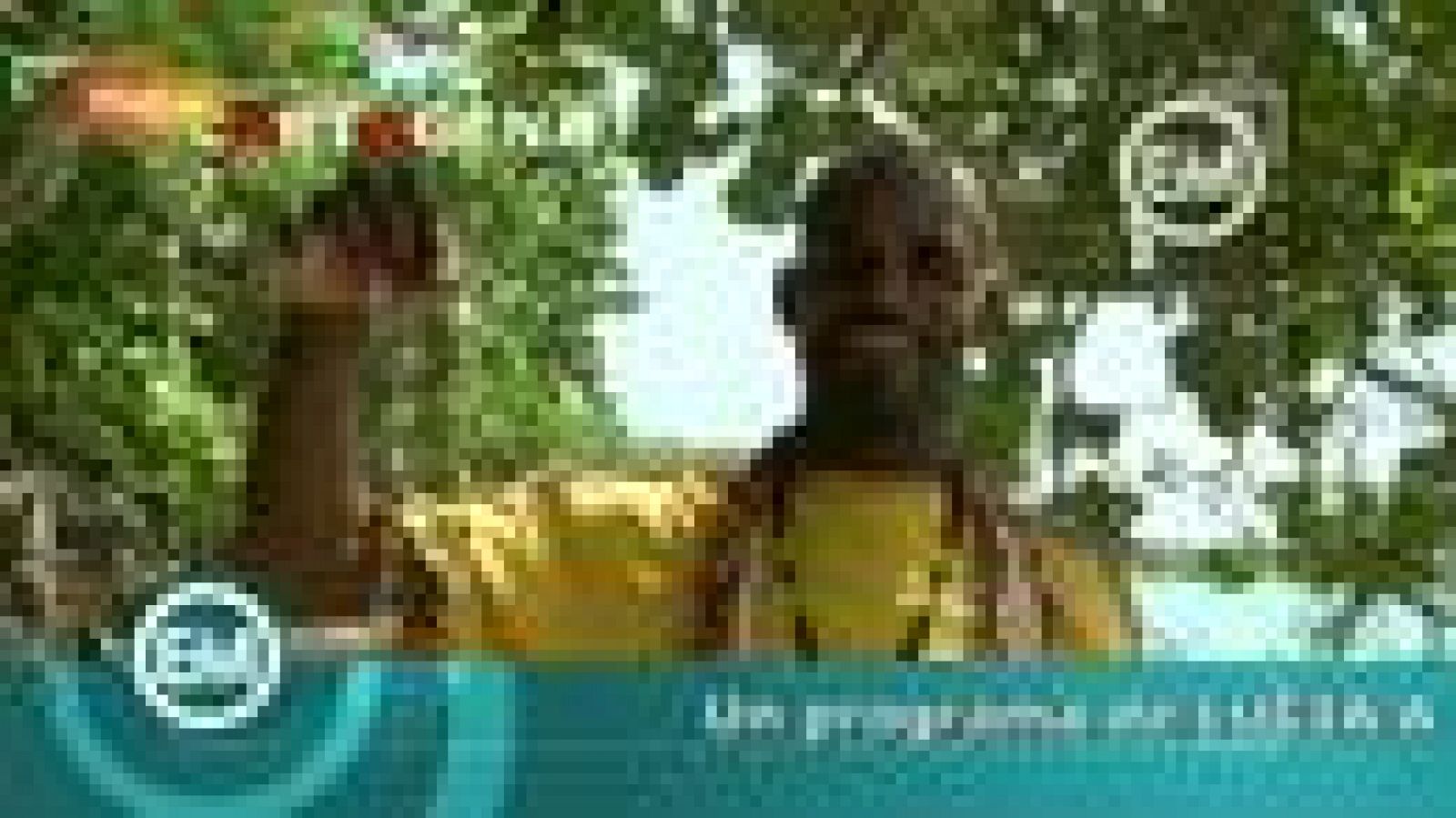 Españoles en el mundo - Cartagena de Indias - Tomas falsas | Ver