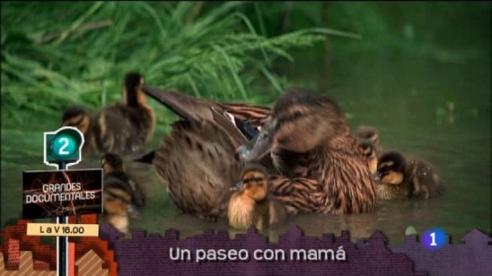 Lo que hay que ver ... - Lo que hay que ver - 07/01/12