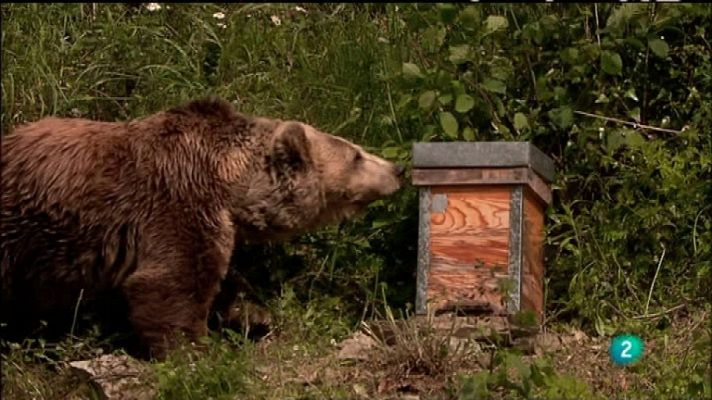 Biodiario - Biodiario - 09/01/12