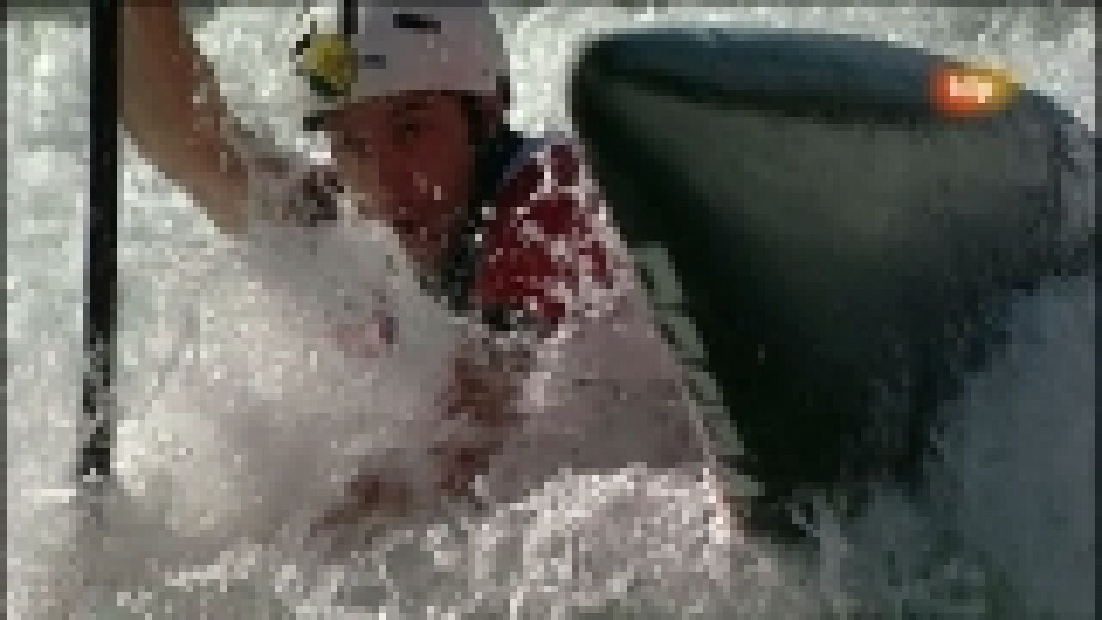 Londres 2012 - Piragüismo - Ver ahora 