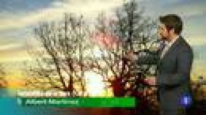 Noticias de Extremadura - El tiempo en Extremadura - 11/01/12