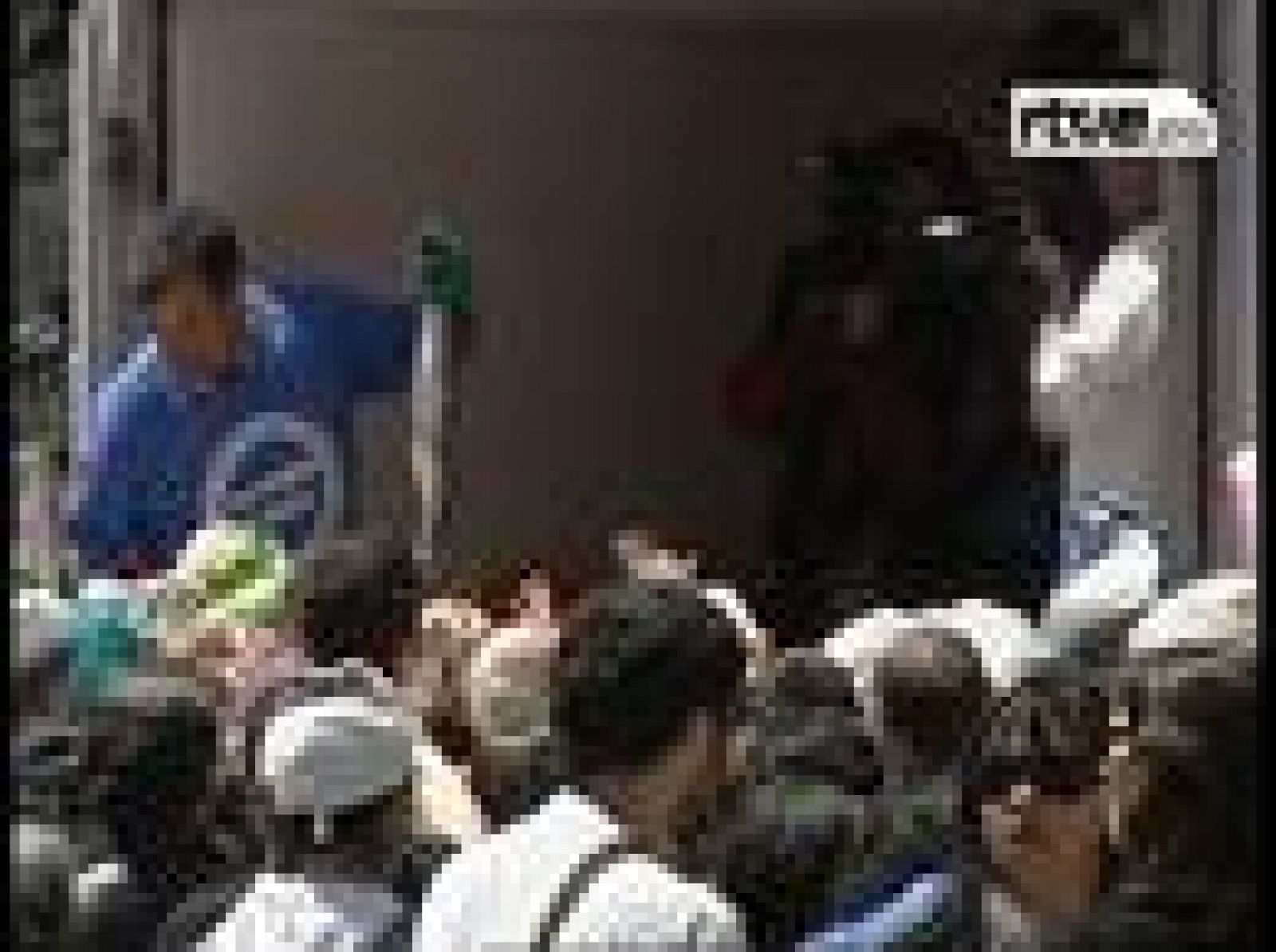 Pescado gratis para protestar por el precio del gasóleo en A Coruña