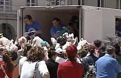 Pescado gratis para protestar por el precio del gasóleo en A Coruña