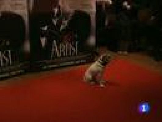 Telediario 1 - Uggie, una estrella