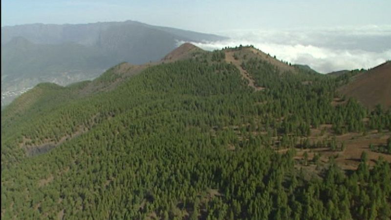 Visita virtual de Patrimonios Naturales recuperados  