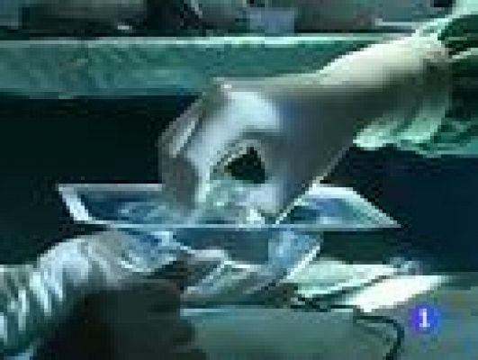 Telediario 1 - Denuncia contra las prótesis