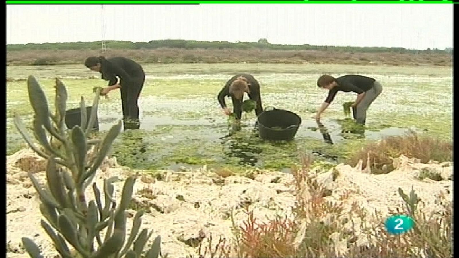 España en comunidad - El mar en la mesa - Ver ahora