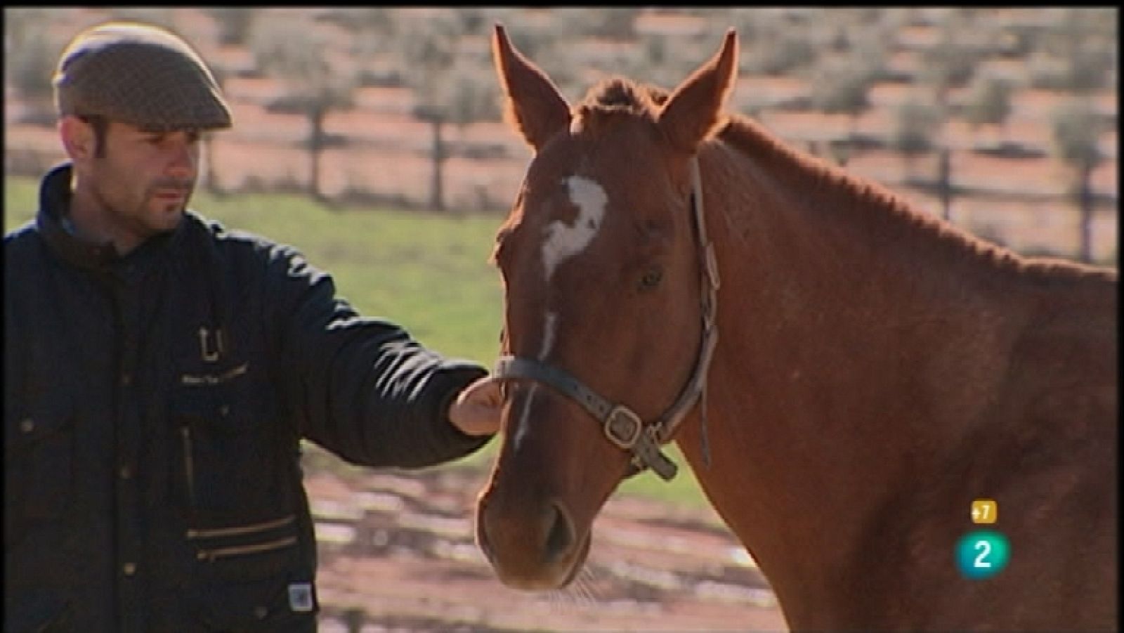  Tendido cero - 14/01/12 - Ver ahora