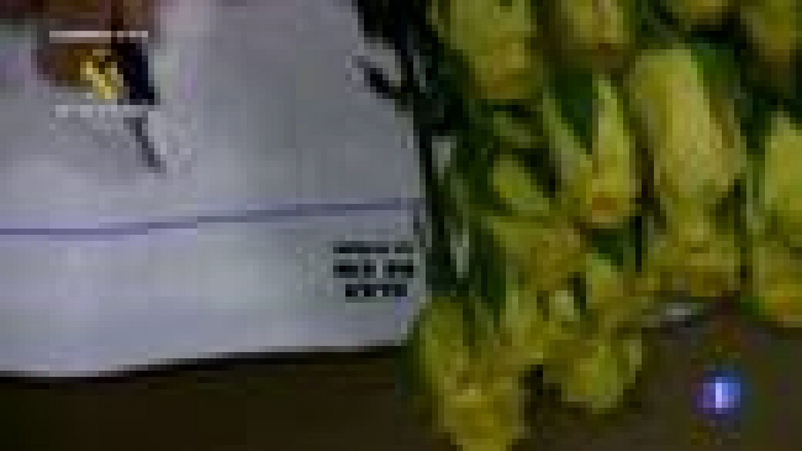 Actuaciones antidroga de la Guardia Civil en Barajas