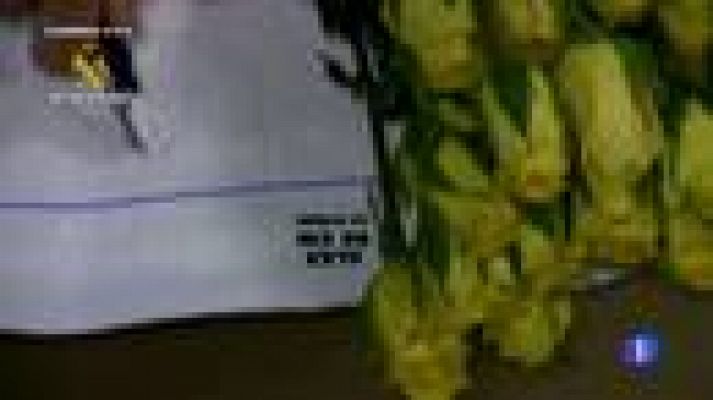 Telediario 1 - Fuerzas antidroga