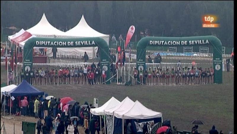 Cross Internacional de Itálica - Carrera masculina - 15/01/12 - Ver ahora