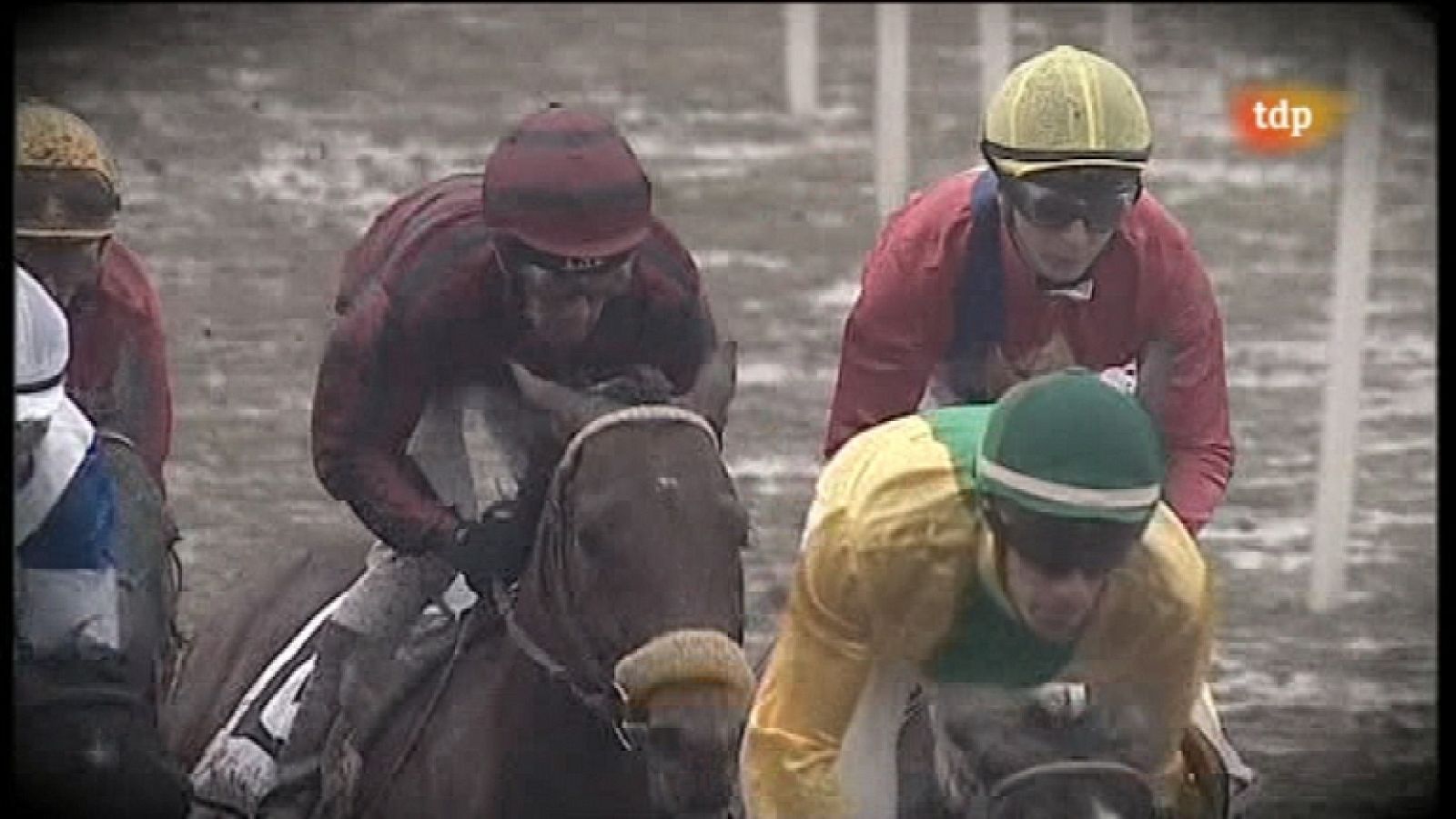 Turf - Carreras de caballos - 15/01/12 - Ver ahora