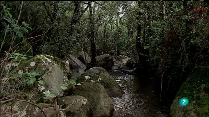 Biodiario - Biodiario - 15/01/12