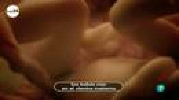 tres14 - Los bebés ya ríen en el vientre