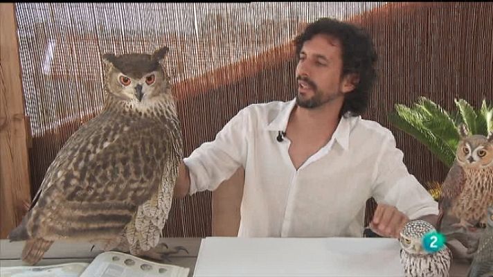 La aventura del Saber - La aventura del saber - 16/01/12