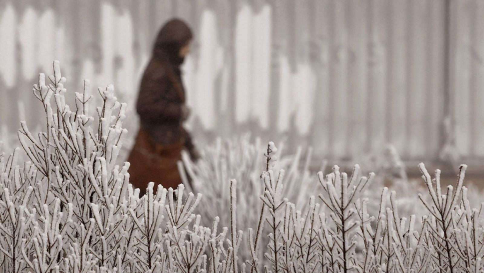 Lluvias en el área de Levante y nevadas en el sudeste peninsular